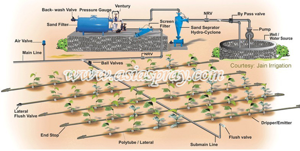 Greenhouse trickle irrigation